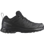 Salomon XA Pro 3D V9 GTX tursko herre