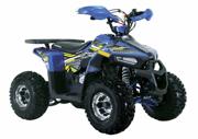 ATV Mudhawk 110