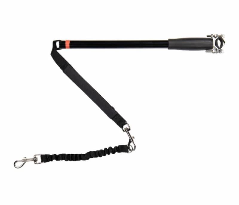 Sykkelfeste hund test - sykkelfeste montert på sykkelramme med hund ved siden