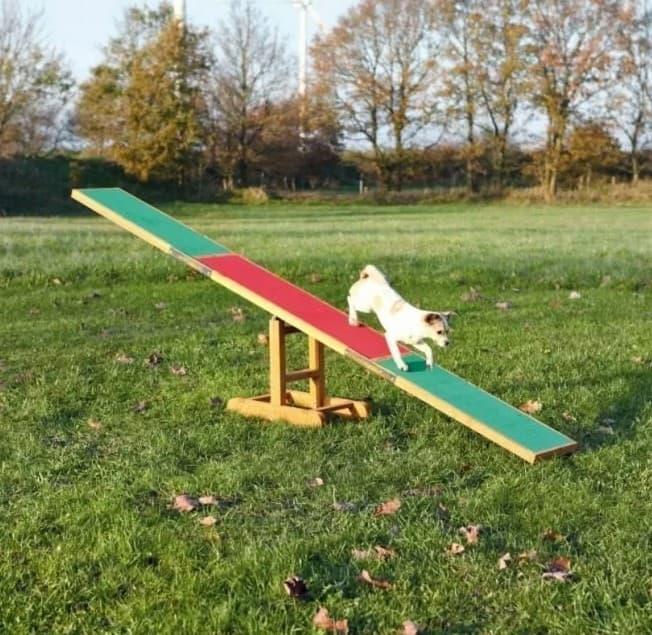 Agility Vippe for hund, 300 cm