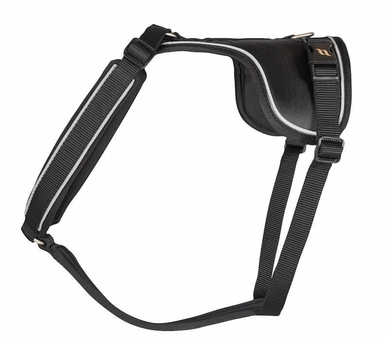 Trekksele hund test - hund med trekksele som løper på skogsvei