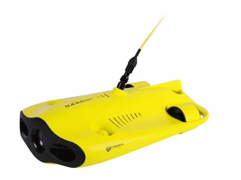 Chasing-Innovation Gladius Mini