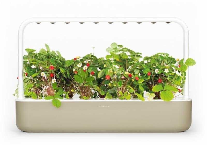 Urtekasse test - smart urtekasse med friske urter på kjøkkenbenk