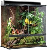 Terrarium test - Exo Terra glasssterrarium med innredning