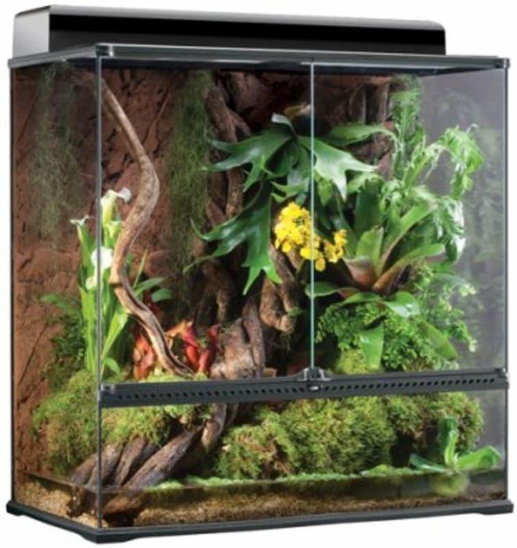Terrarium test - Exo Terra glasssterrarium med innredning