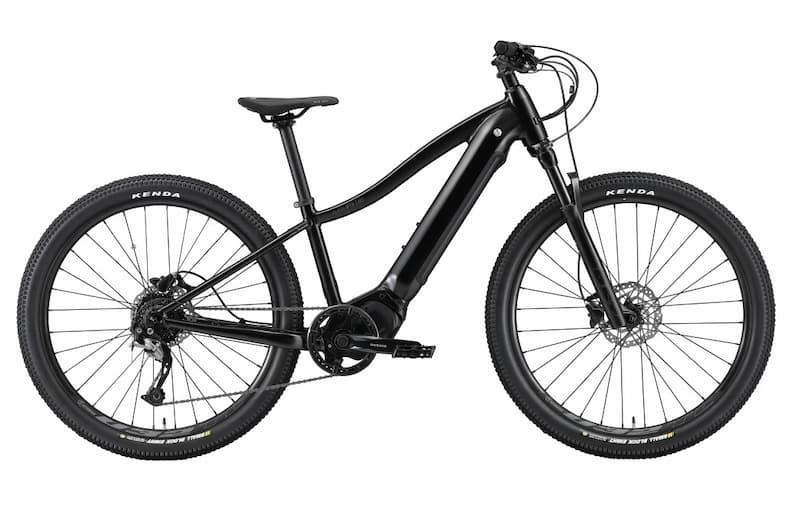 Gekko Flash MTN 26