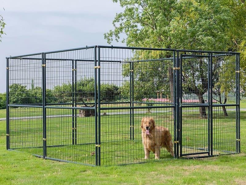 Hundegård 3 x 3