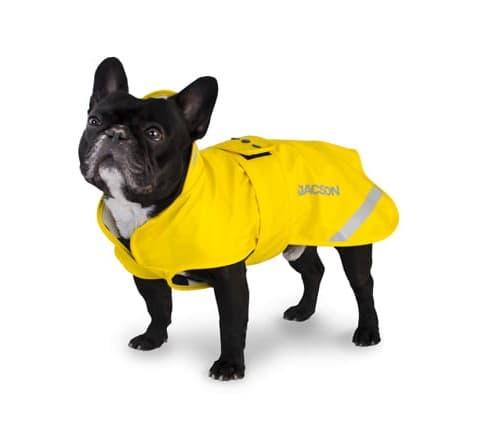 Regndekken hund test - hund med regndekken på tur i regn