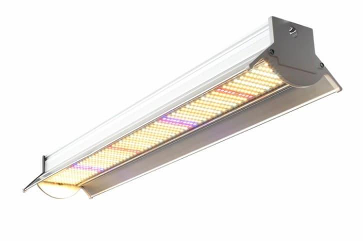 LED vekstlys for alle vekstfaser