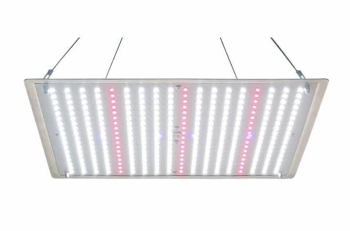 LEDlife Helios vekstlampe 70W, IP65