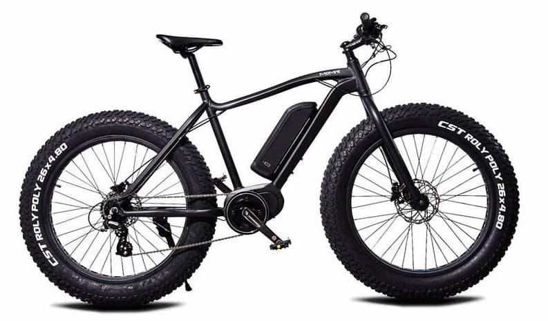 Momas F2 2022