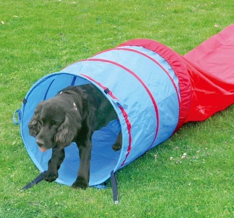 Pawise Agility Tunnel 5M