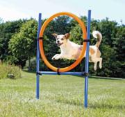Trixie Agility Ring