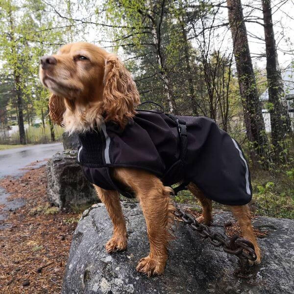 Canelana Cover vind- og regndekken hundedekken i sort