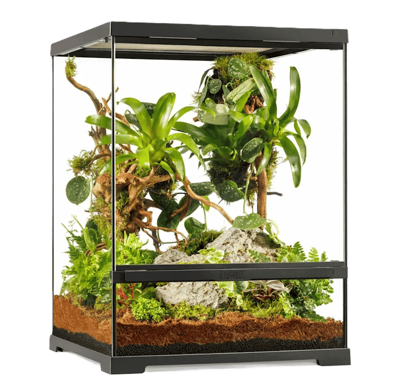Exo Terra Pro Terrarium Small Tall glassterrarium