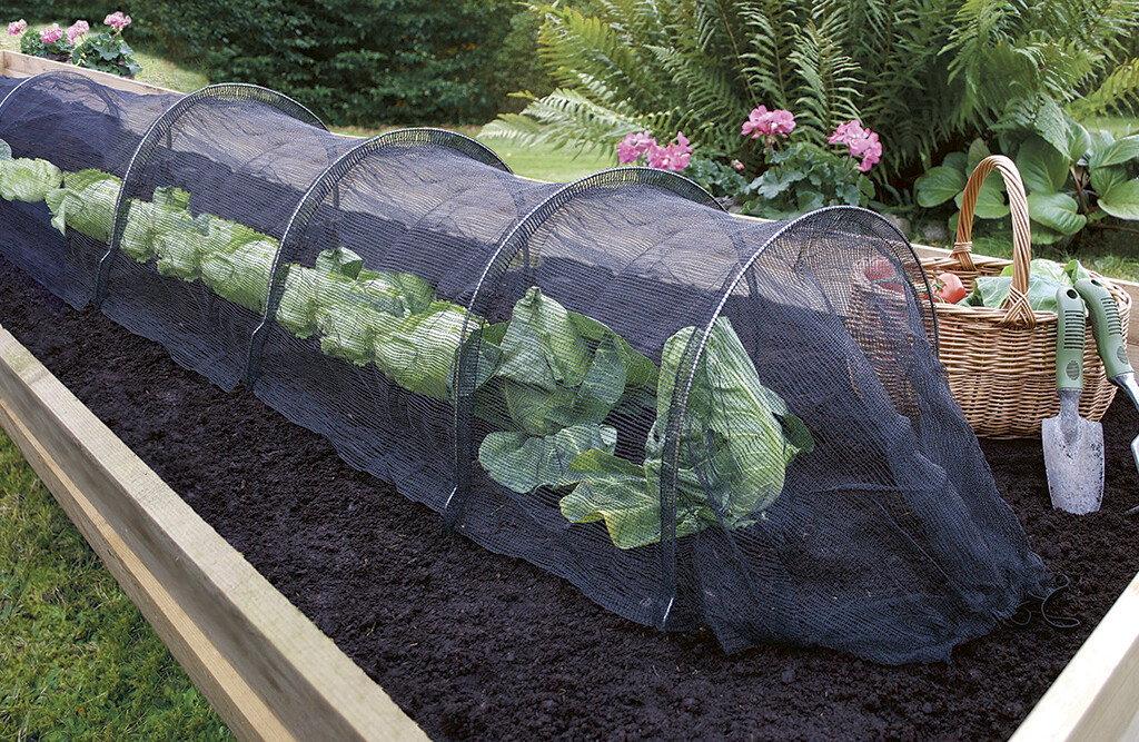 Veksttunnel med svart netting for fuglebeskyttelse 310 cm