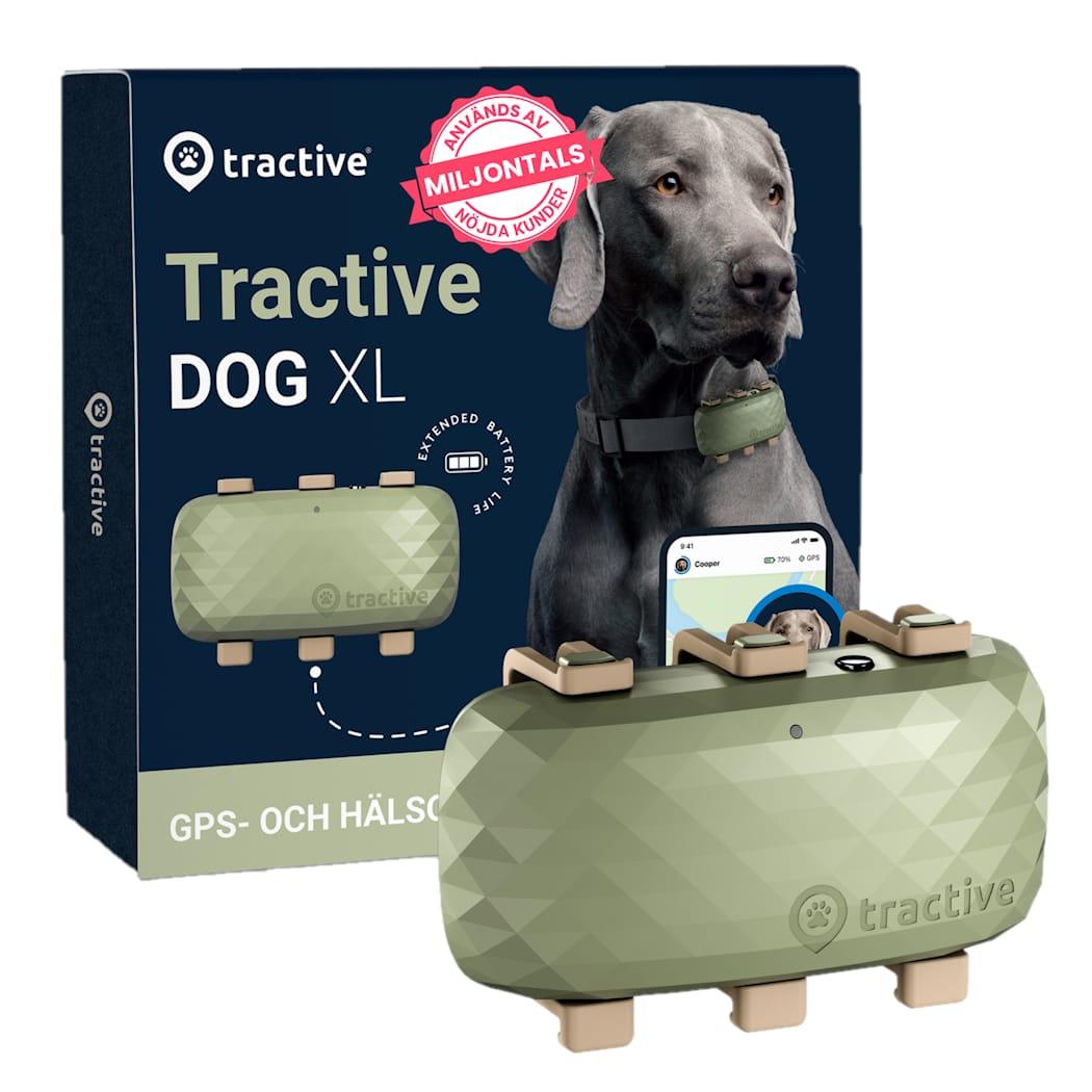 Tractive GPS DOG XL GPS-tracker for store hunder