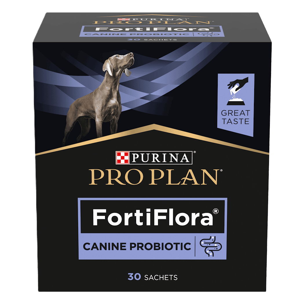 Purina FortiFlora probiotika for hund 30 poser
