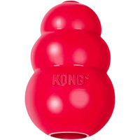 Hundeleker test - hund som leker med Kong-leke