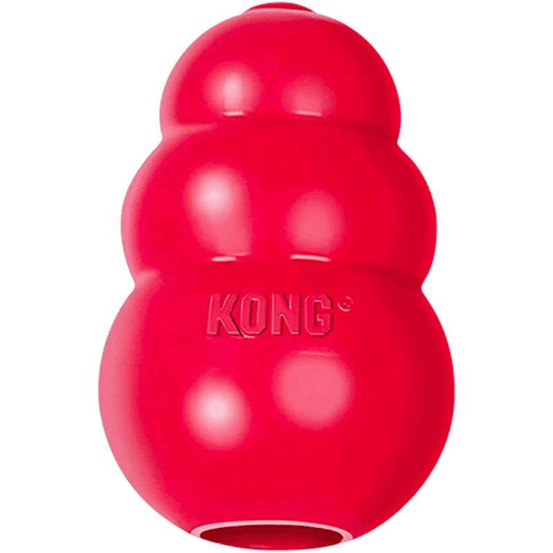 Hundeleker test - hund som leker med Kong-leke