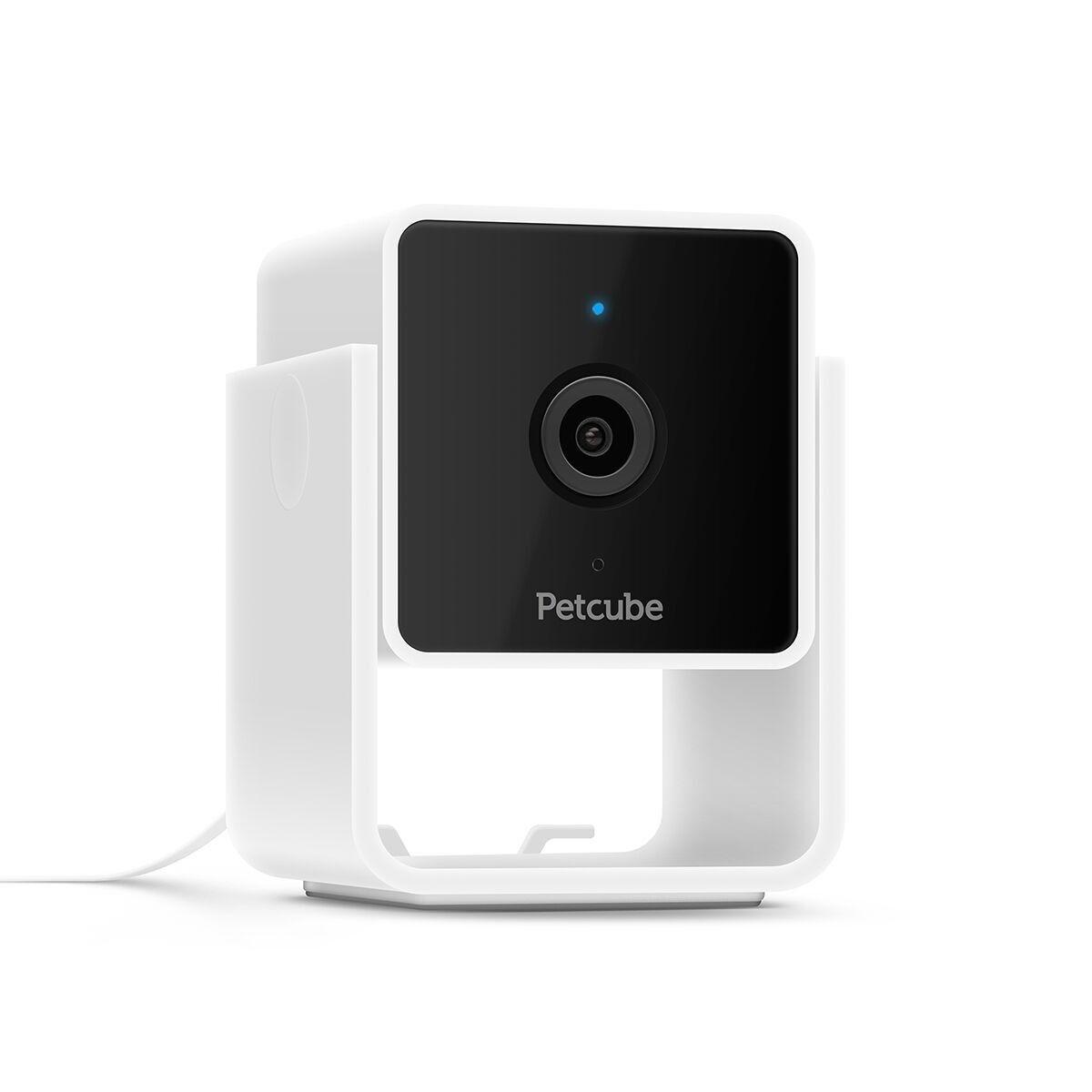 PetCube Cam kjæledyrskamera med toveislyd og 1080p HD